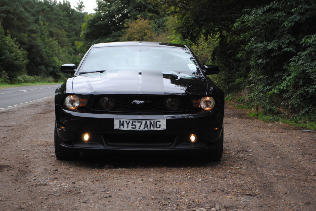 Name:  DSC_1107_zps83ee9ed2.jpg
Views: 29
Size:  240.5 KB