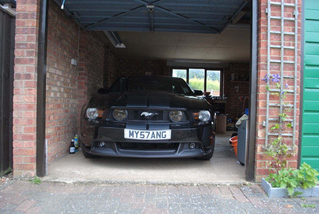 Name:  DSC_1113_zpsaa9018ba.jpg
Views: 34
Size:  219.2 KB