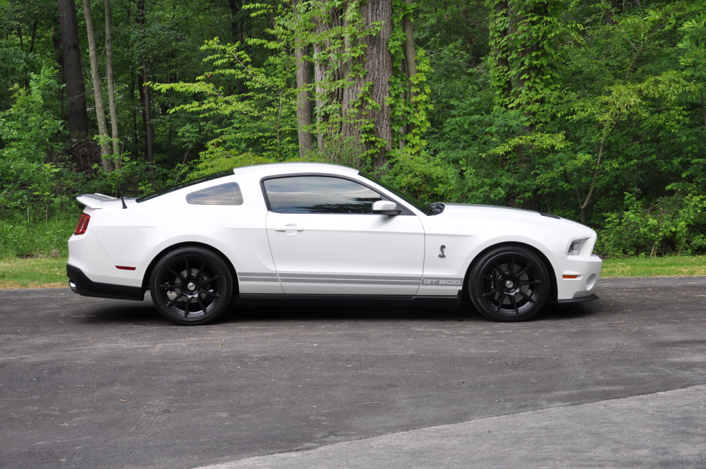 Name:  DSC_0837.jpg
Views: 564
Size:  283.8 KB