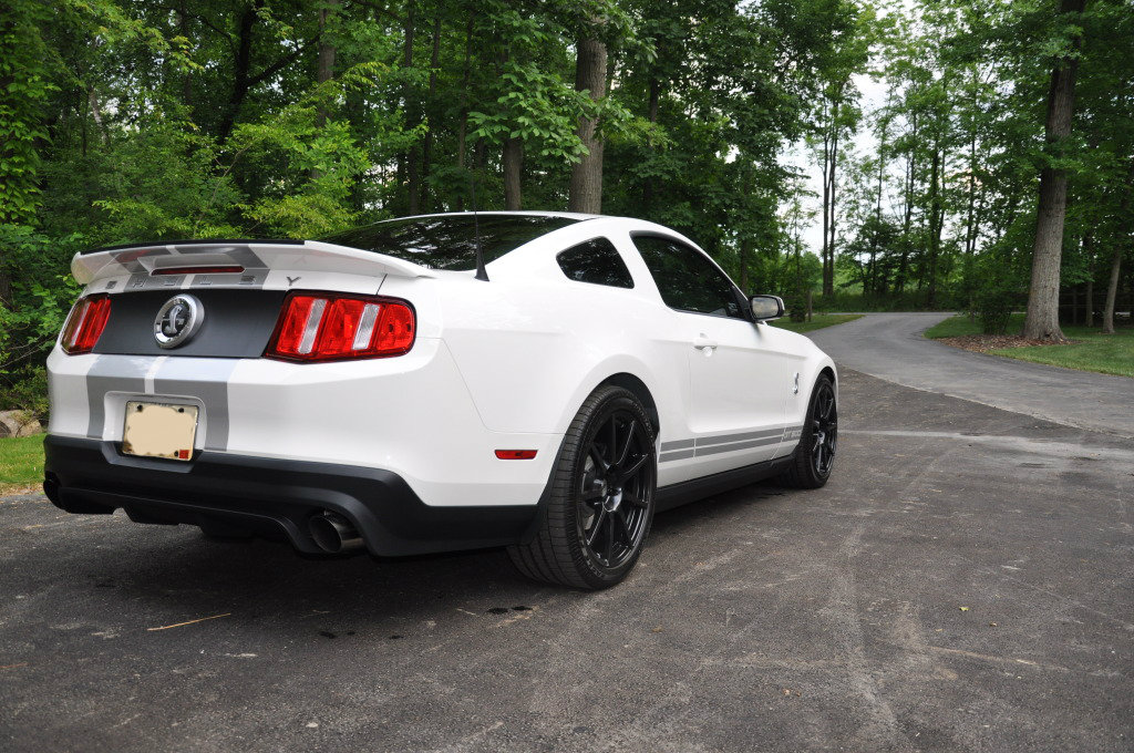 Name:  DSC_0842-1.jpg
Views: 901
Size:  244.4 KB