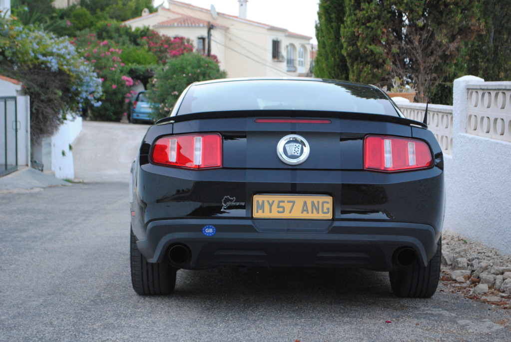 Name:  DSC_0971.jpg
Views: 246
Size:  215.9 KB