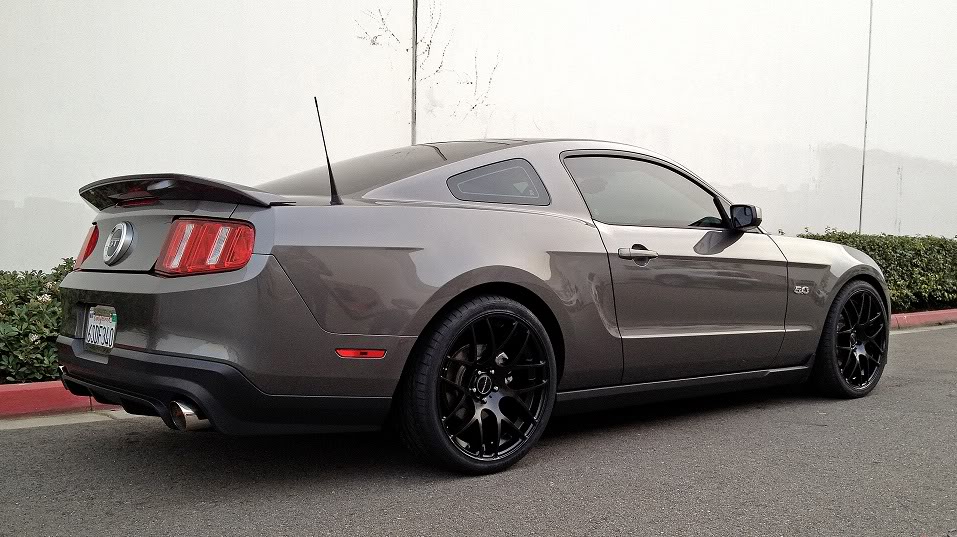 Name:  newestwheeeeels2.jpg
Views: 489
Size:  128.6 KB