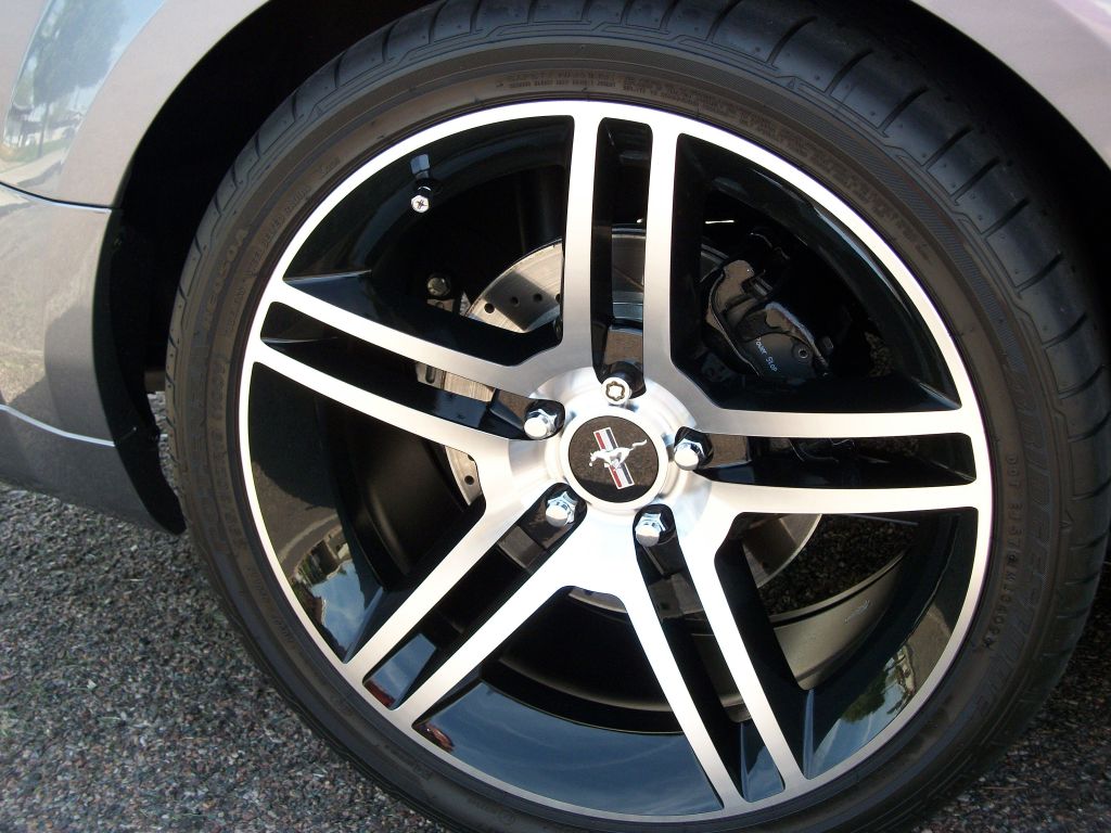 Name:  EvilgreY4-8-12010.jpg
Views: 977
Size:  143.4 KB