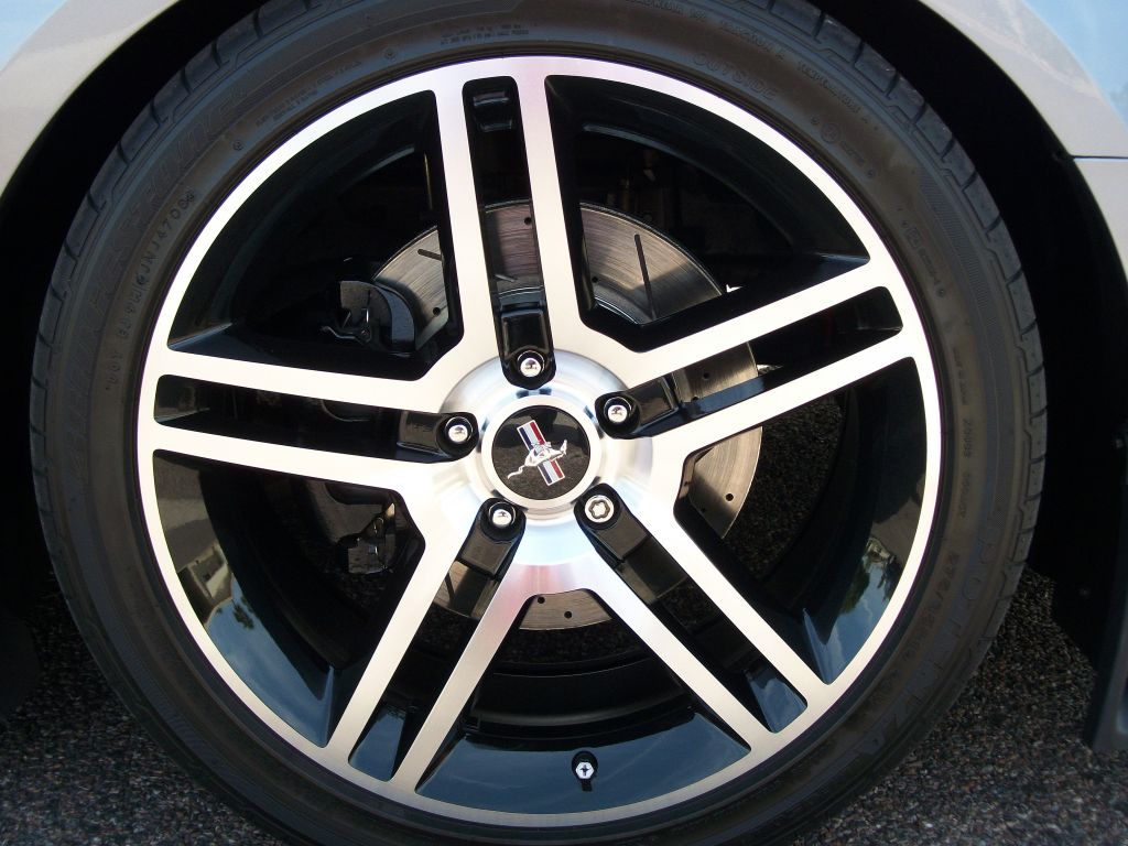 Name:  EvilgreY4-8-12009.jpg
Views: 1037
Size:  130.4 KB