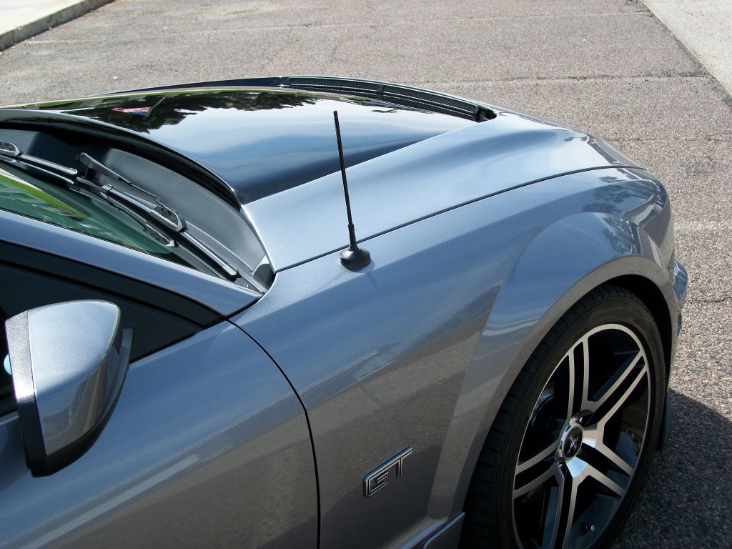 Name:  EvilgreY4-8-12006.jpg
Views: 970
Size:  143.0 KB