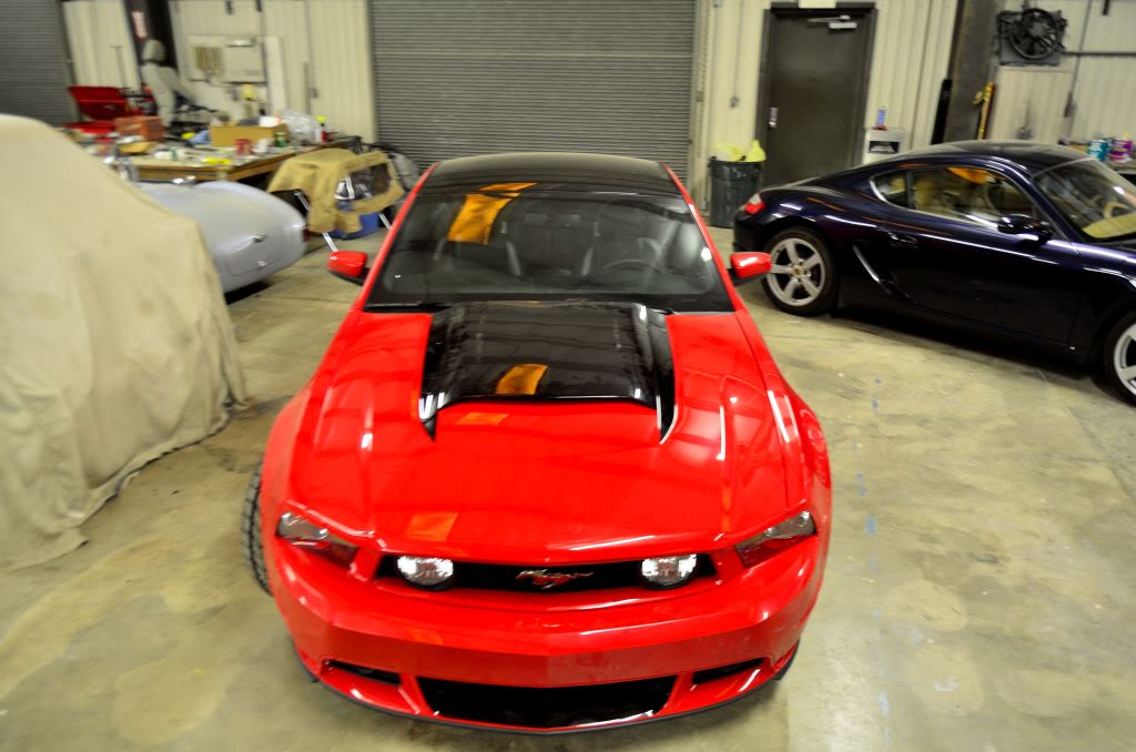 Name:  DSC_1025.jpg
Views: 60
Size:  87.5 KB