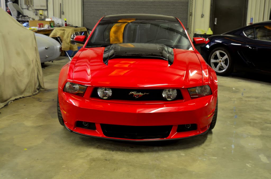 Name:  DSC_1009.jpg
Views: 66
Size:  85.0 KB