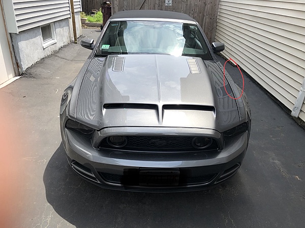 Best New Hood Options-8ad41e40-25b7-491b-bf29-0f1042dfb207.jpeg