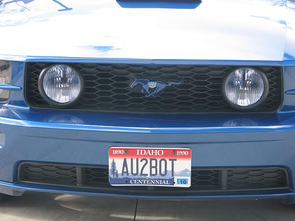 FORD MUSTANG CHROME TAIL LIGHT TRIM-img_0131.jpg