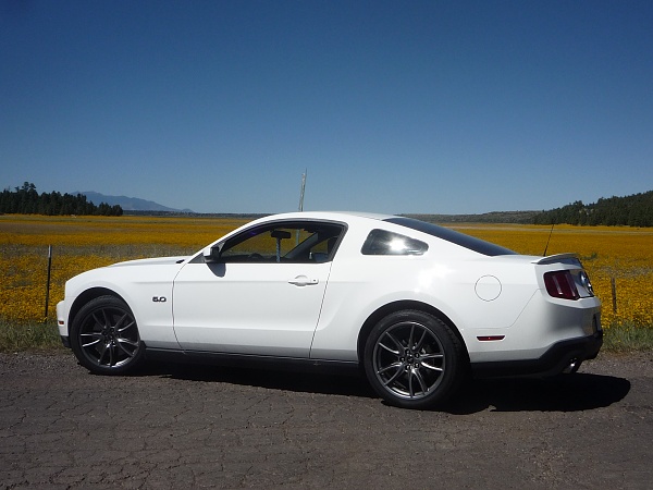 FRPP Black Track Pack Wheels-p1010880.jpg