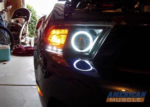 American Muscle's aftermarket HID's for 2010+ Mustangs-48897_1595760077_9217_q.jpg