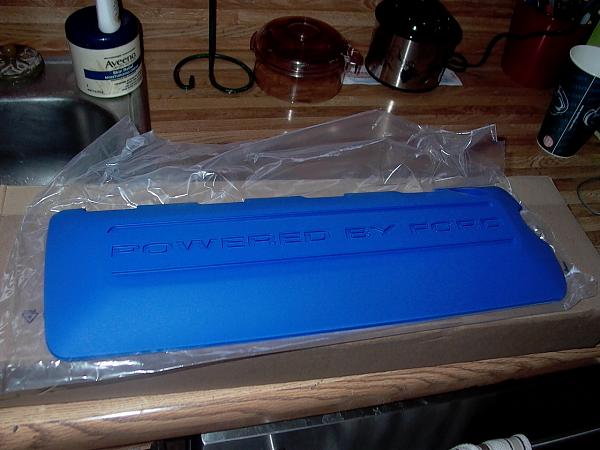 Ordered Boss 302 lower splitter today-p1040473.jpg