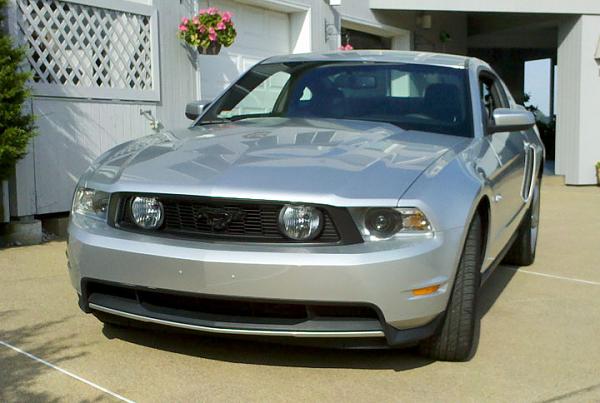 Grille without pony?-blackpony.jpg