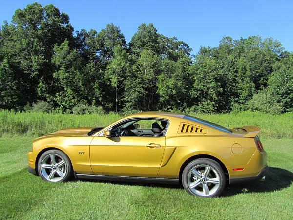 Best looking Quarter Window Scoops?-large-mustang-picture-2010.jpg