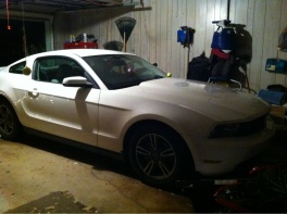 Name:  image-385007505.jpg
Views: 363
Size:  22.3 KB