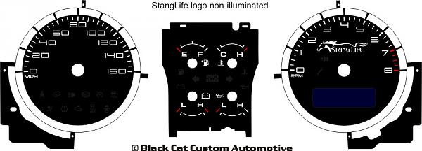 Blackcat Custom Gauge faces (Installed)-doug-p1-copy.jpg