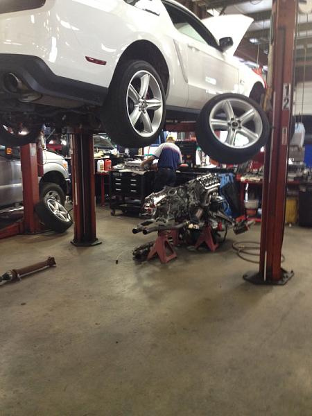 My #8 failured on my stock 5.0-image-3498515536.jpg