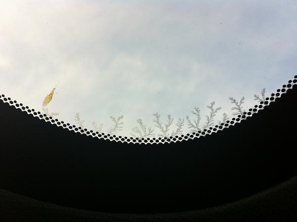 Glass Roof delaminating-img_1662.jpg