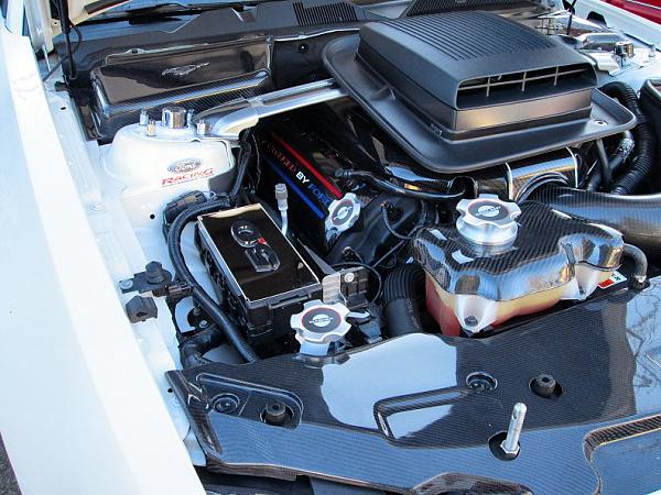 Carbon fiber engine dress up starting-crbeng1.jpg
