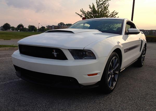 I jinxed myself-img_8704.jpg