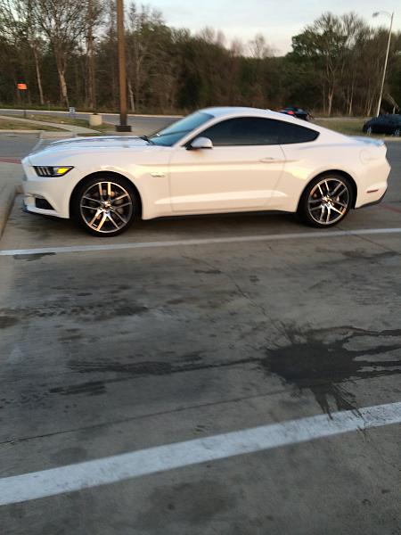 2014 Mustang GT Engine tick/knock-mustang.jpg