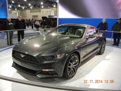 Name:  ForumRunner_20140212_001626.jpg
Views: 314
Size:  23.7 KB