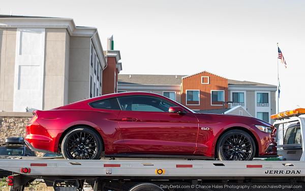 Ruby Red looking hot-rubyredmustang3.jpg