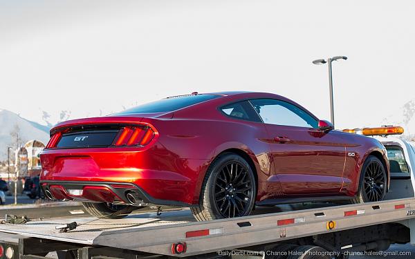 Ruby Red looking hot-rubyredmustang6.jpg