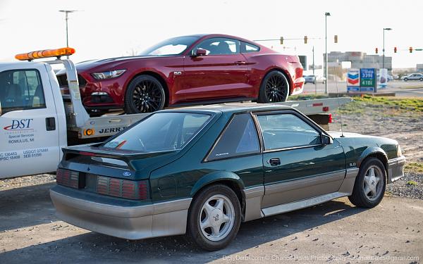 Ruby Red looking hot-rubyredmustang10.jpg