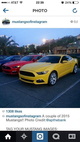 Photo Gallery of actual 2015s in different colors we've seen so far-image-2038869364.jpg