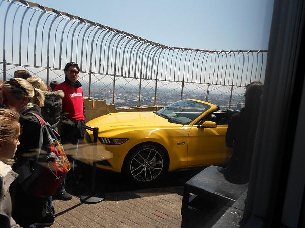 Mustang top of the Empire State Building-dscn1596.jpg