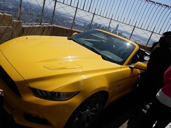 Mustang top of the Empire State Building-dscn1624.jpg