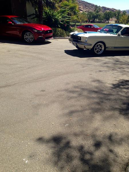2015 mustang media launch-image.jpg