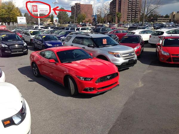 Just drove the 2015 Mustang (thoughts, and a couple pics)-img_6766_zps88f0767e.jpg