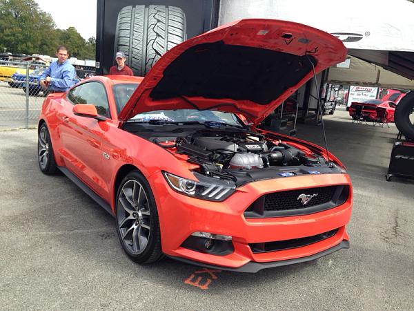 2015 Mustang...-image-2085929170.jpg