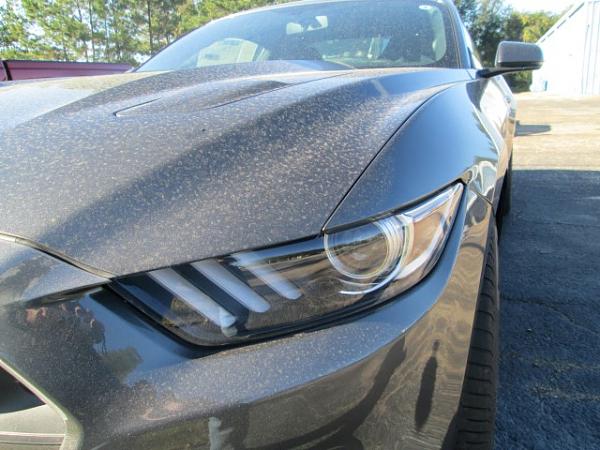 Who on TMS will be the first to recieve a 2015 mustang.-img_0353-small-.jpg