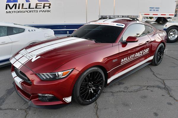 GT350 to be revealed on 11. 17. 14-40-sema-2014-mustang-preview.jpg