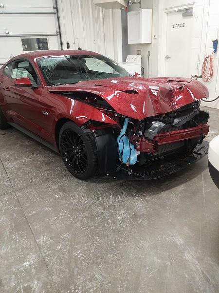 Another Mustang Crashed-mustang-crash-2.jpg