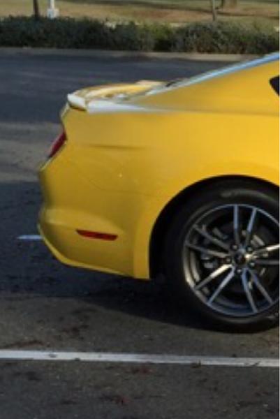 Honest Opinion on the new Mustangs, latest body mods-image-3278991990.jpg