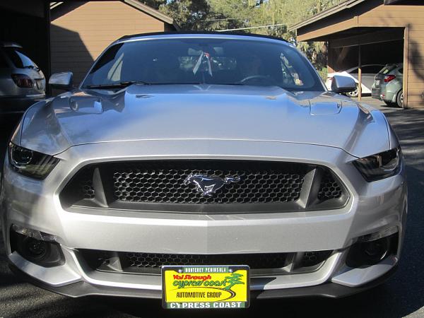 2015 Ordered/Built/Delivered Thread-sharky-2-003.jpg