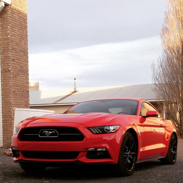 Post Your Best picture Mustang 2015-image-548227900.jpg
