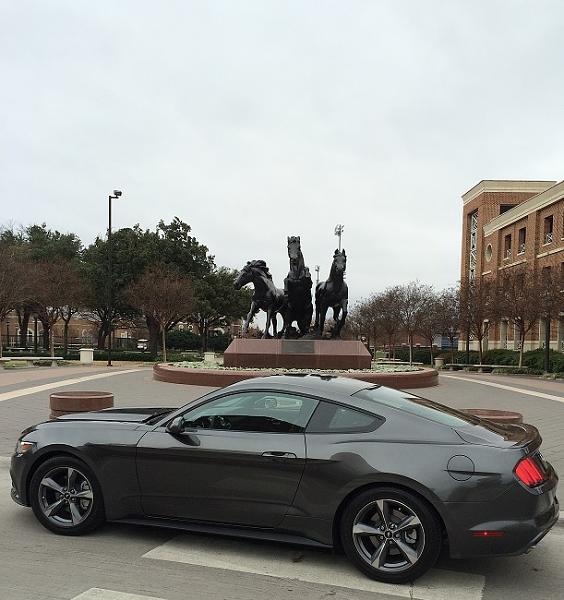 Post Your Best picture Mustang 2015-img_1217.jpg