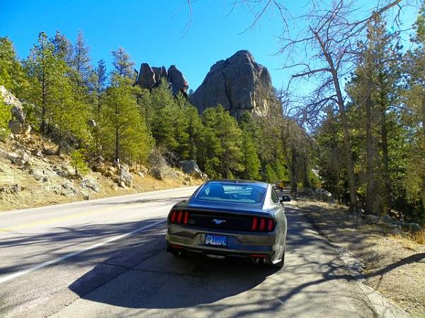 Post Your Best picture Mustang 2015-100_0436.jpg
