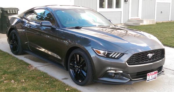 What is the best aftermarket license plate holder for a 2015 mustang GT?-2015_mustang24.jpg