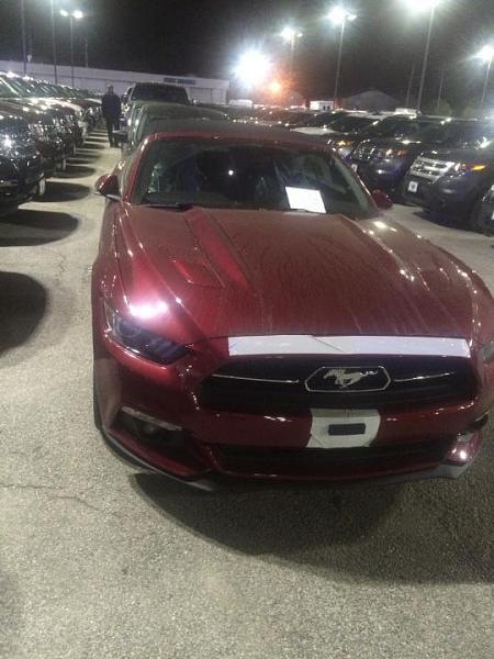 2015 Ordered/Built/Delivered Thread-img952149.jpg