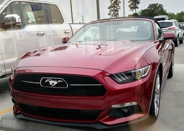 2015 Ordered/Built/Delivered Thread-mustang-while-waiting-final-delivery-2.jpg