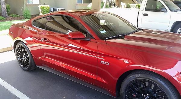 A pair of S550's-tint1.jpg