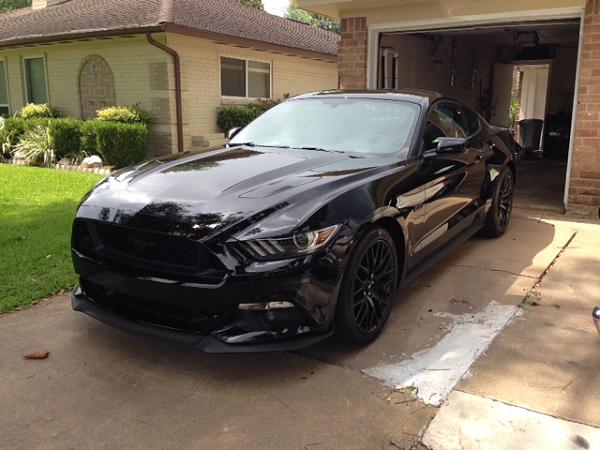 2015 GT Color Help...-img_2639.jpg