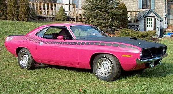 cosmetic changes-pink-challenger.jpg