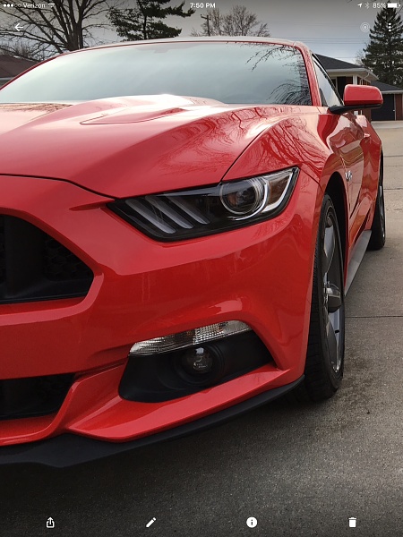 Post Your Best picture Mustang 2015-image.jpg